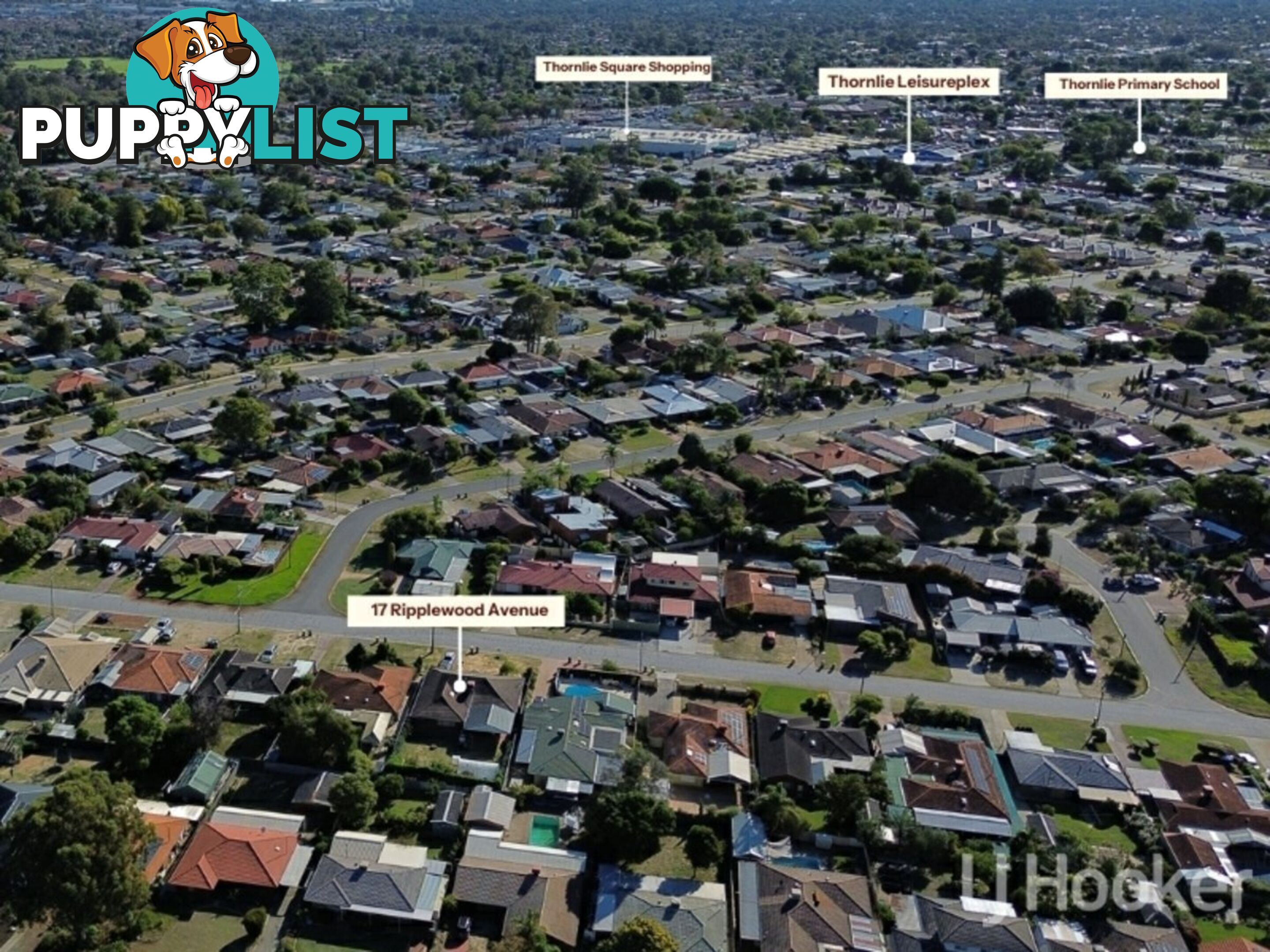 17 Ripplewood Avenue THORNLIE WA 6108
