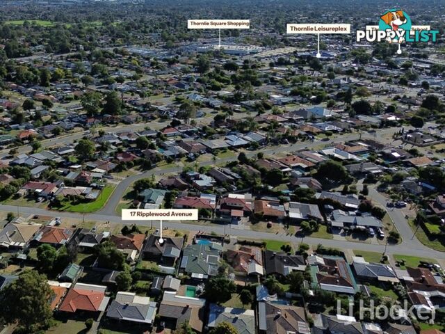 17 Ripplewood Avenue THORNLIE WA 6108