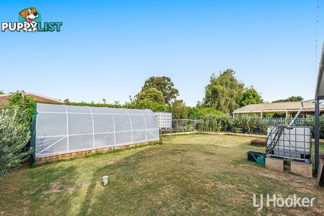 17 Ripplewood Avenue THORNLIE WA 6108