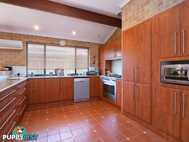 11 Aster Court THORNLIE WA 6108