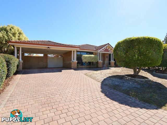11 Aster Court THORNLIE WA 6108