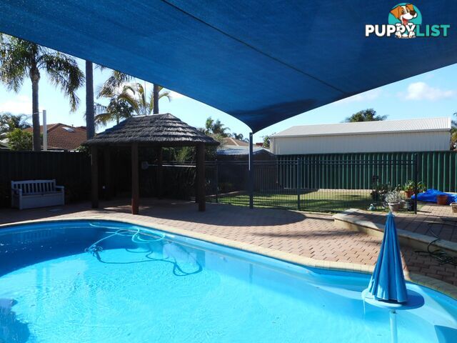 11 Aster Court THORNLIE WA 6108