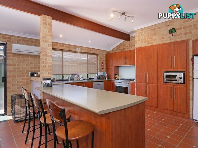 11 Aster Court THORNLIE WA 6108