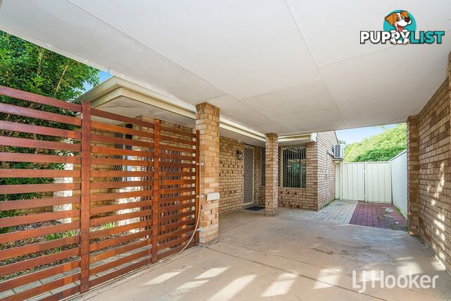13/6 Lester Drive THORNLIE WA 6108