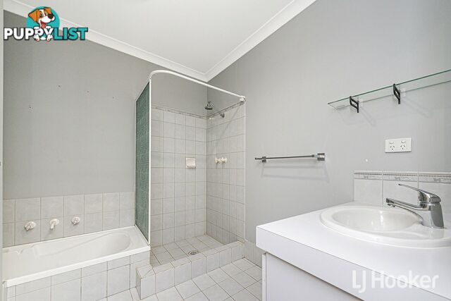13/6 Lester Drive THORNLIE WA 6108