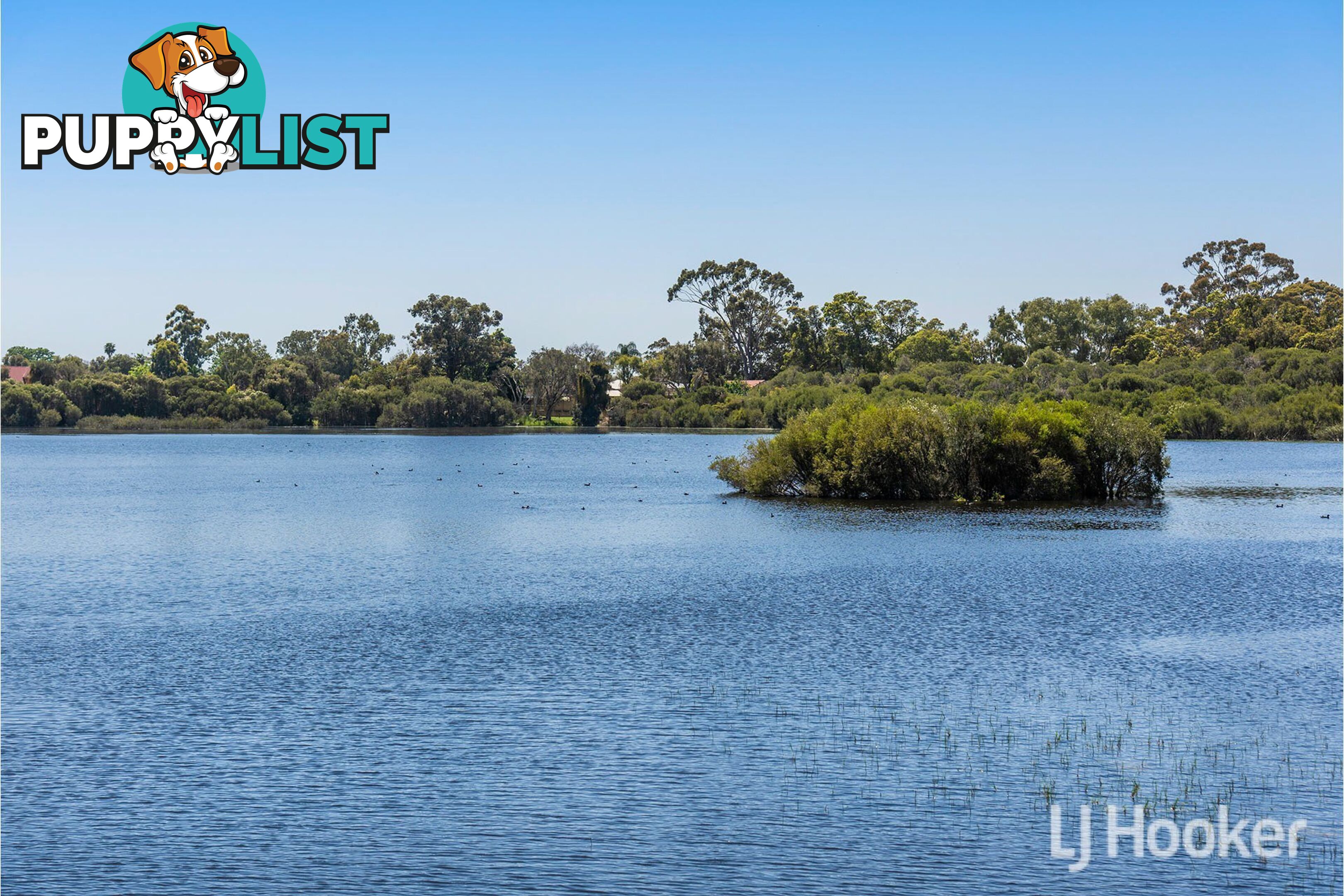 29 Percy Street GOSNELLS WA 6110