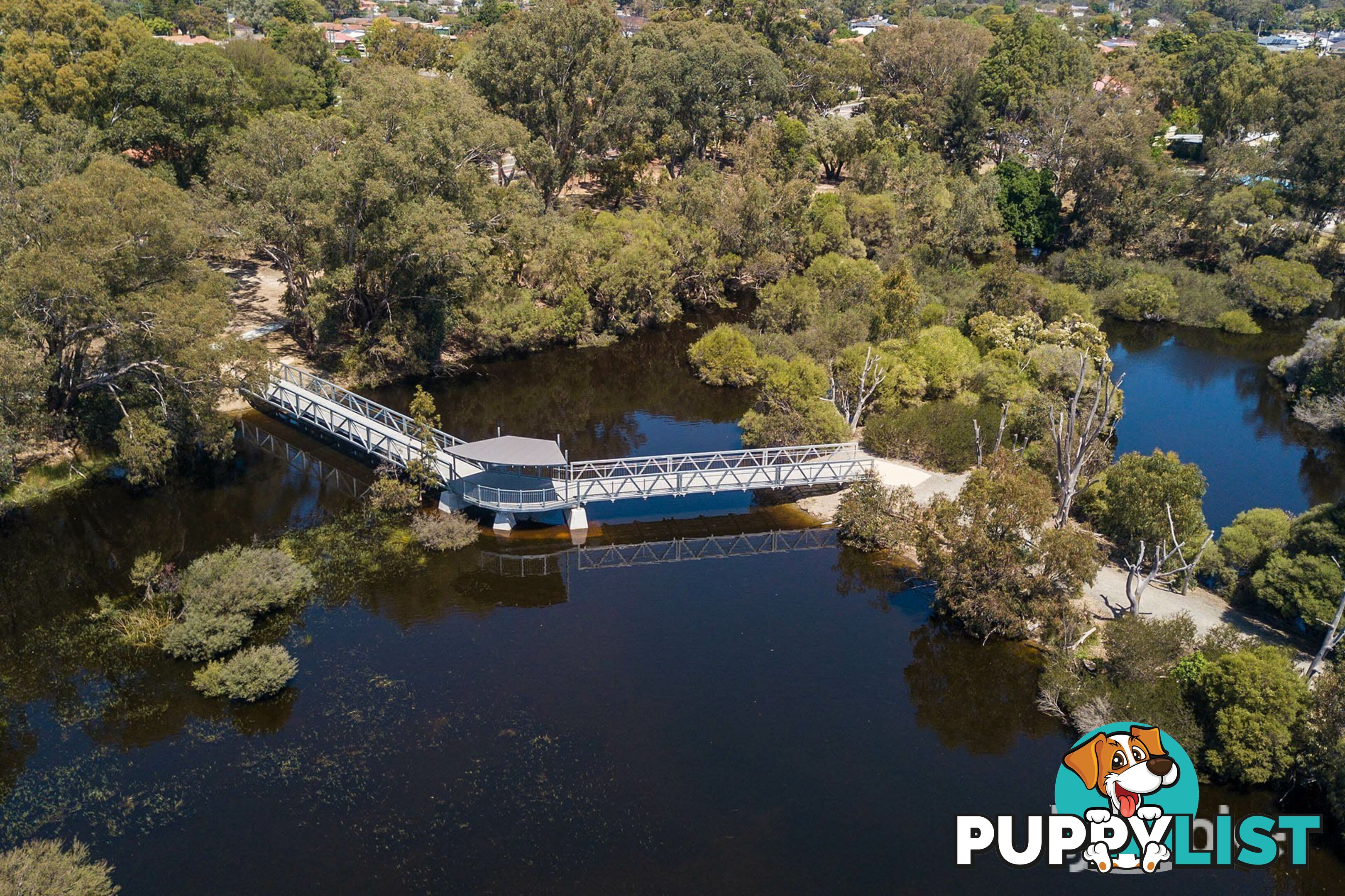 29 Percy Street GOSNELLS WA 6110