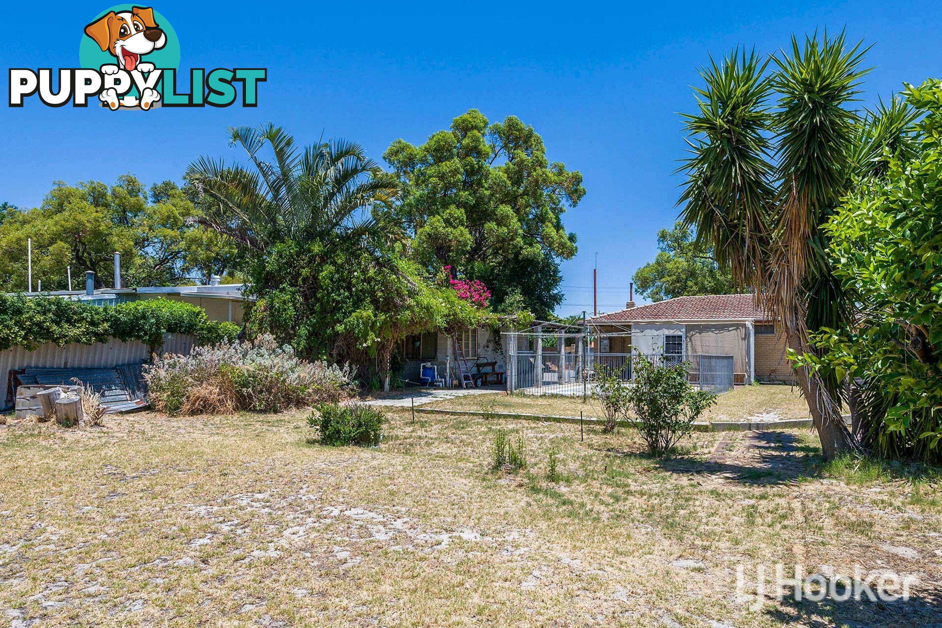 164 Crandon Street GOSNELLS WA 6110