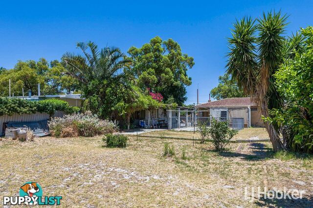 164 Crandon Street GOSNELLS WA 6110