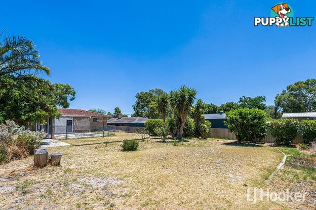 164 Crandon Street GOSNELLS WA 6110