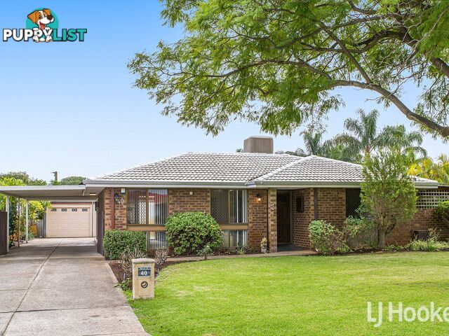 40 Grainger Way THORNLIE WA 6108