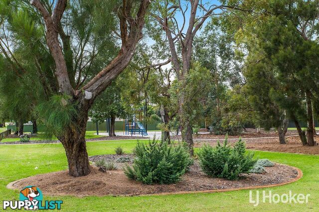 38 Probert Road THORNLIE WA 6108