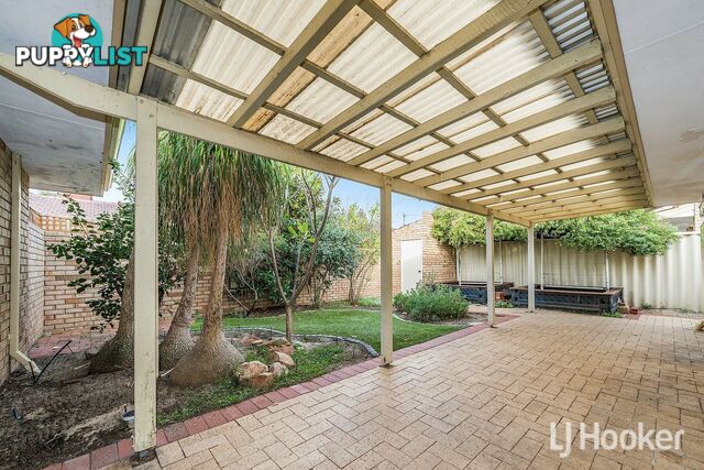 13/6 Lester Drive THORNLIE WA 6108