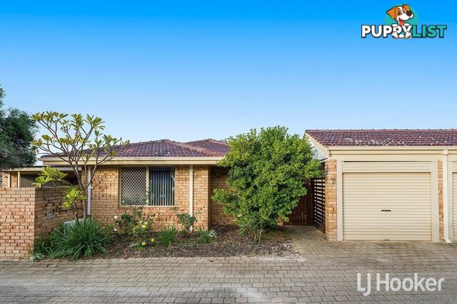 13/6 Lester Drive THORNLIE WA 6108