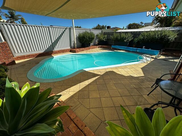 25 Discovery Drive THORNLIE WA 6108