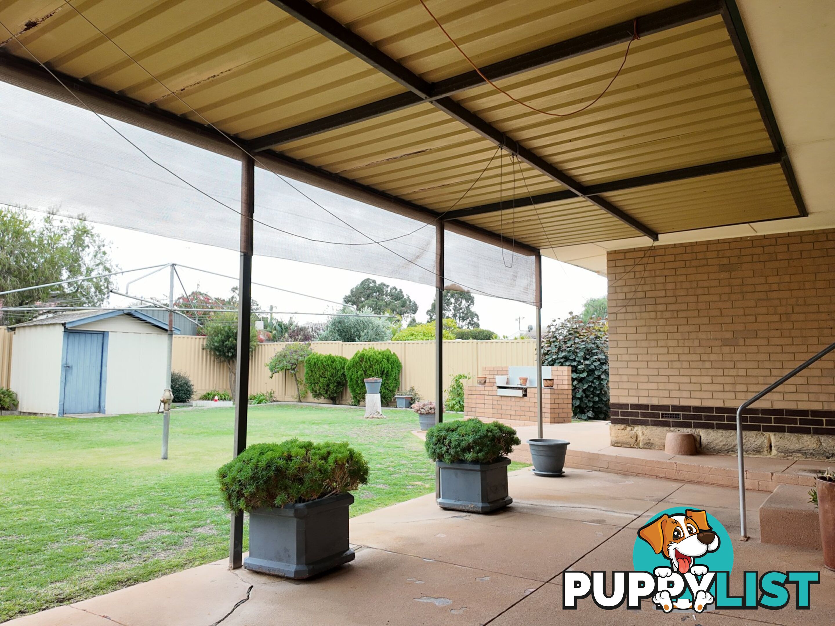 19 Coops Avenue THORNLIE WA 6108