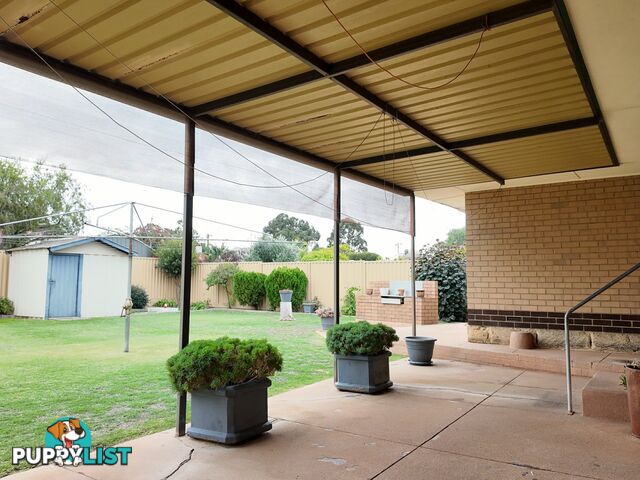 19 Coops Avenue THORNLIE WA 6108