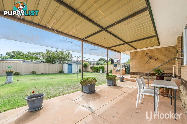 19 Coops Avenue THORNLIE WA 6108
