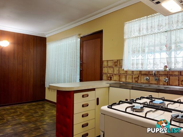 19 Coops Avenue THORNLIE WA 6108