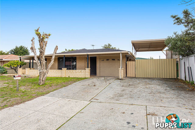 3 Greenough Way GOSNELLS WA 6110