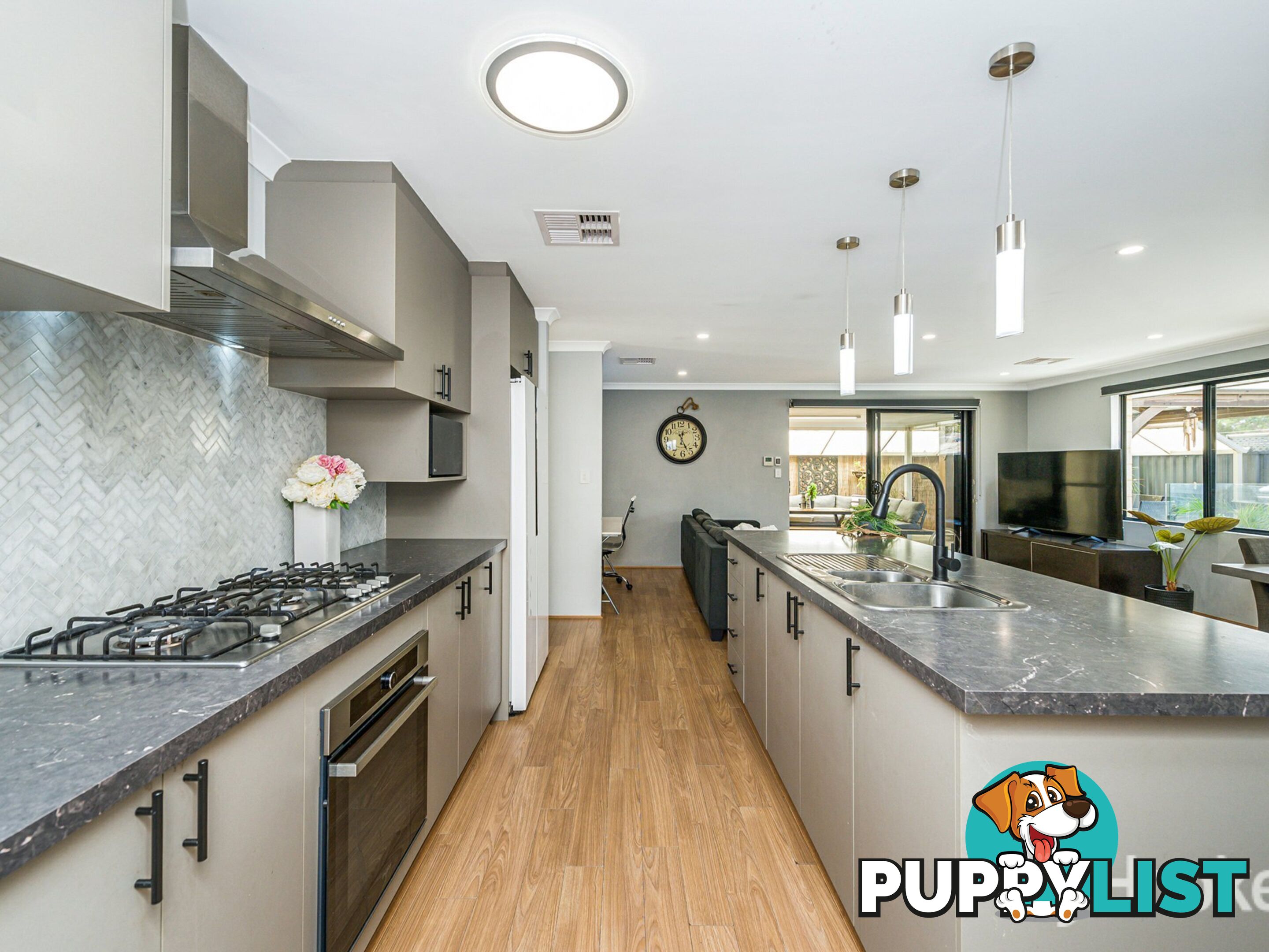 14 Dowitcher Loop GOSNELLS WA 6110
