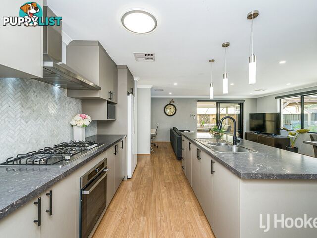 14 Dowitcher Loop GOSNELLS WA 6110