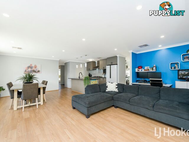 14 Dowitcher Loop GOSNELLS WA 6110