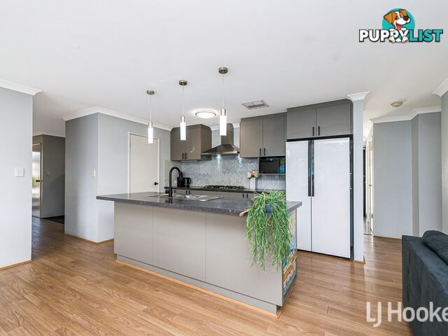 14 Dowitcher Loop GOSNELLS WA 6110