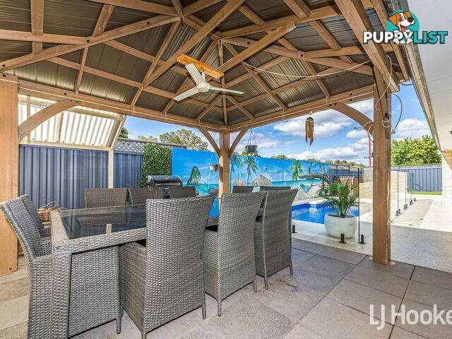 14 Dowitcher Loop GOSNELLS WA 6110