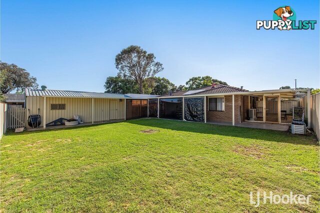 8 Ardross Street SEVILLE GROVE WA 6112