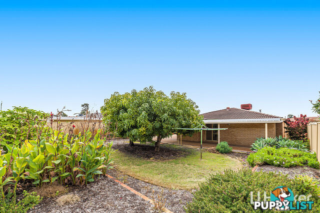 23 Brunswick Road THORNLIE WA 6108