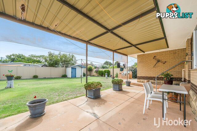 19 Coops Avenue THORNLIE WA 6108