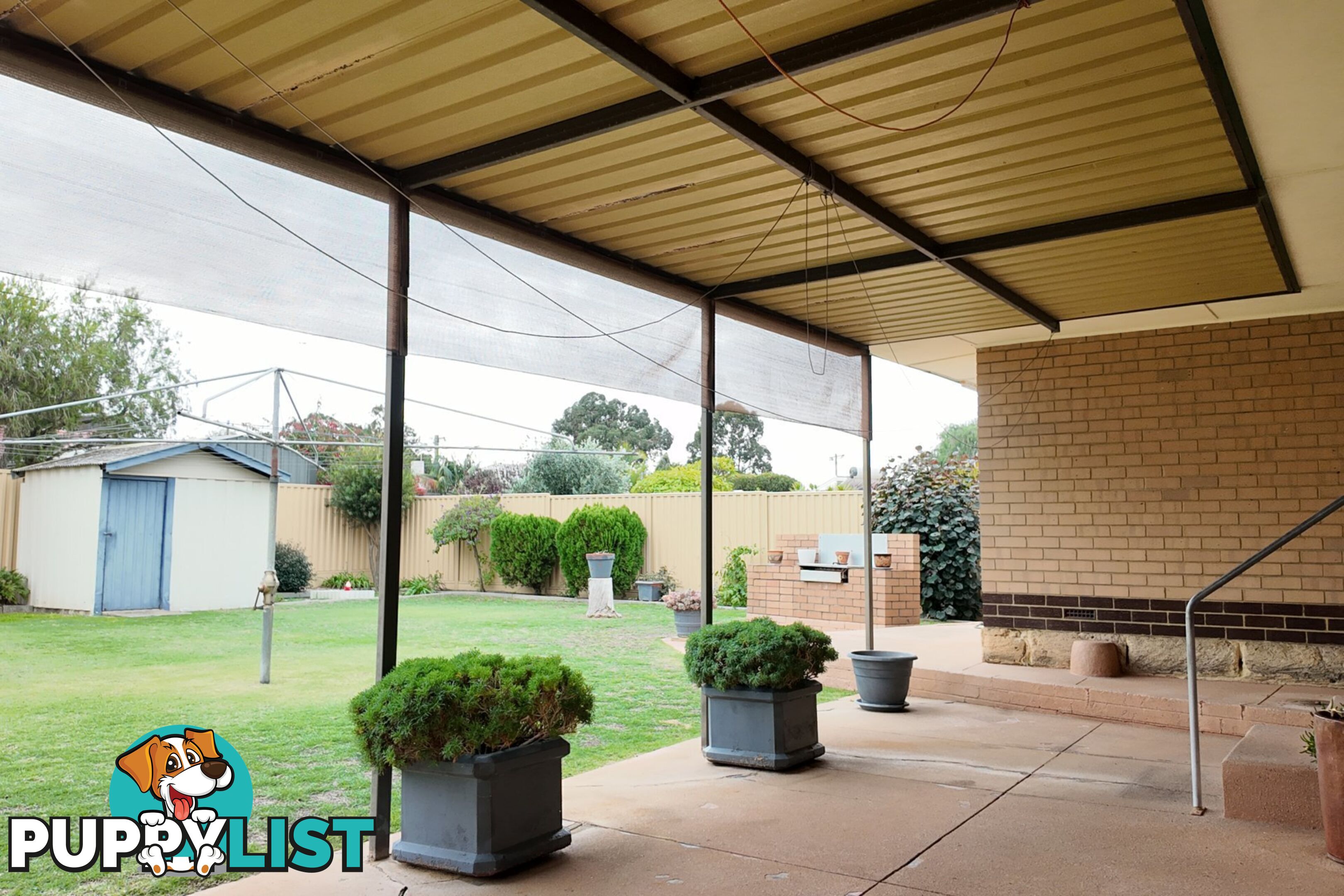 19 Coops Avenue THORNLIE WA 6108