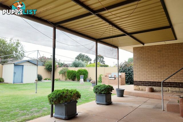 19 Coops Avenue THORNLIE WA 6108