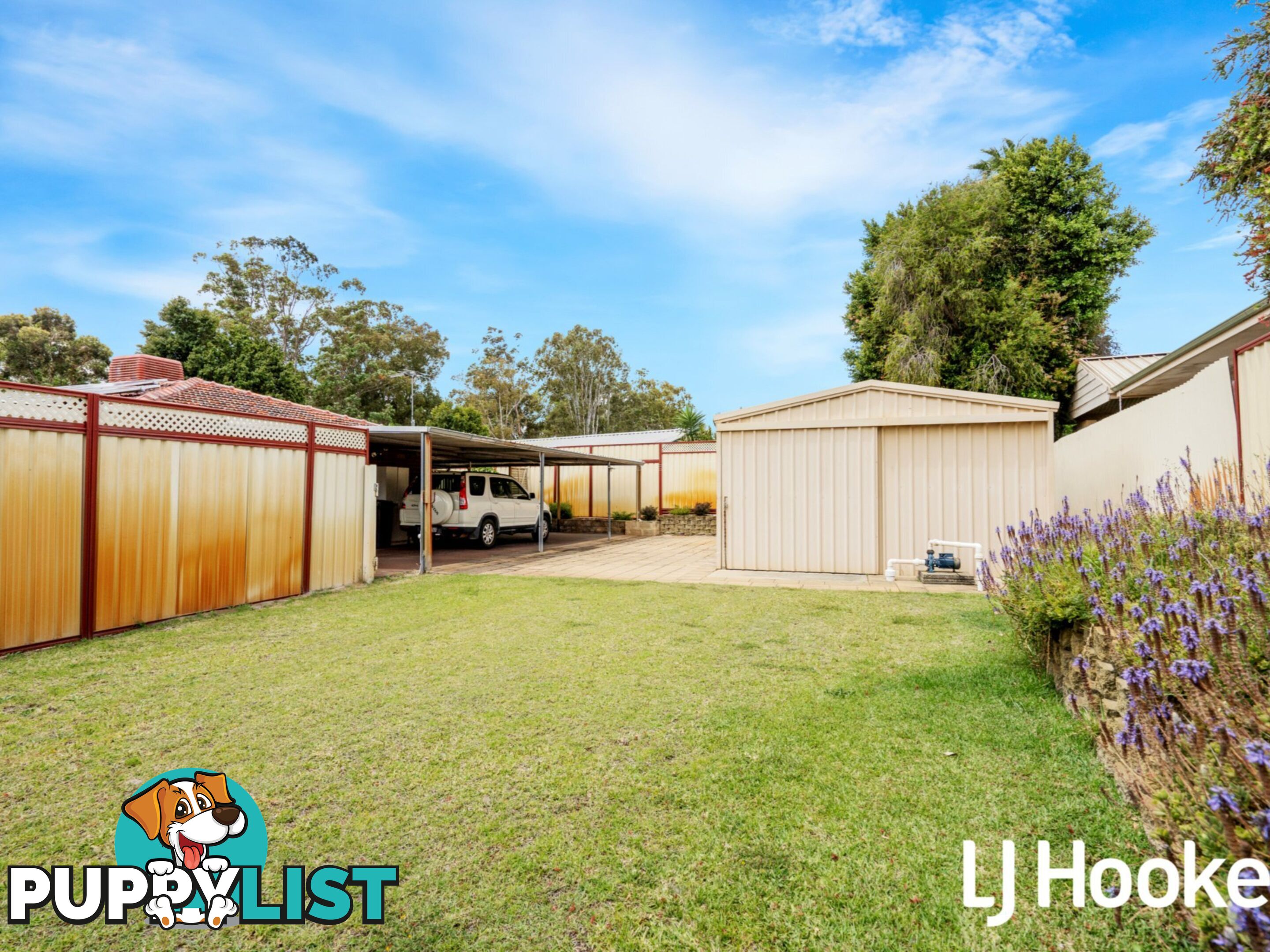 11 Prescott Drive GOSNELLS WA 6110