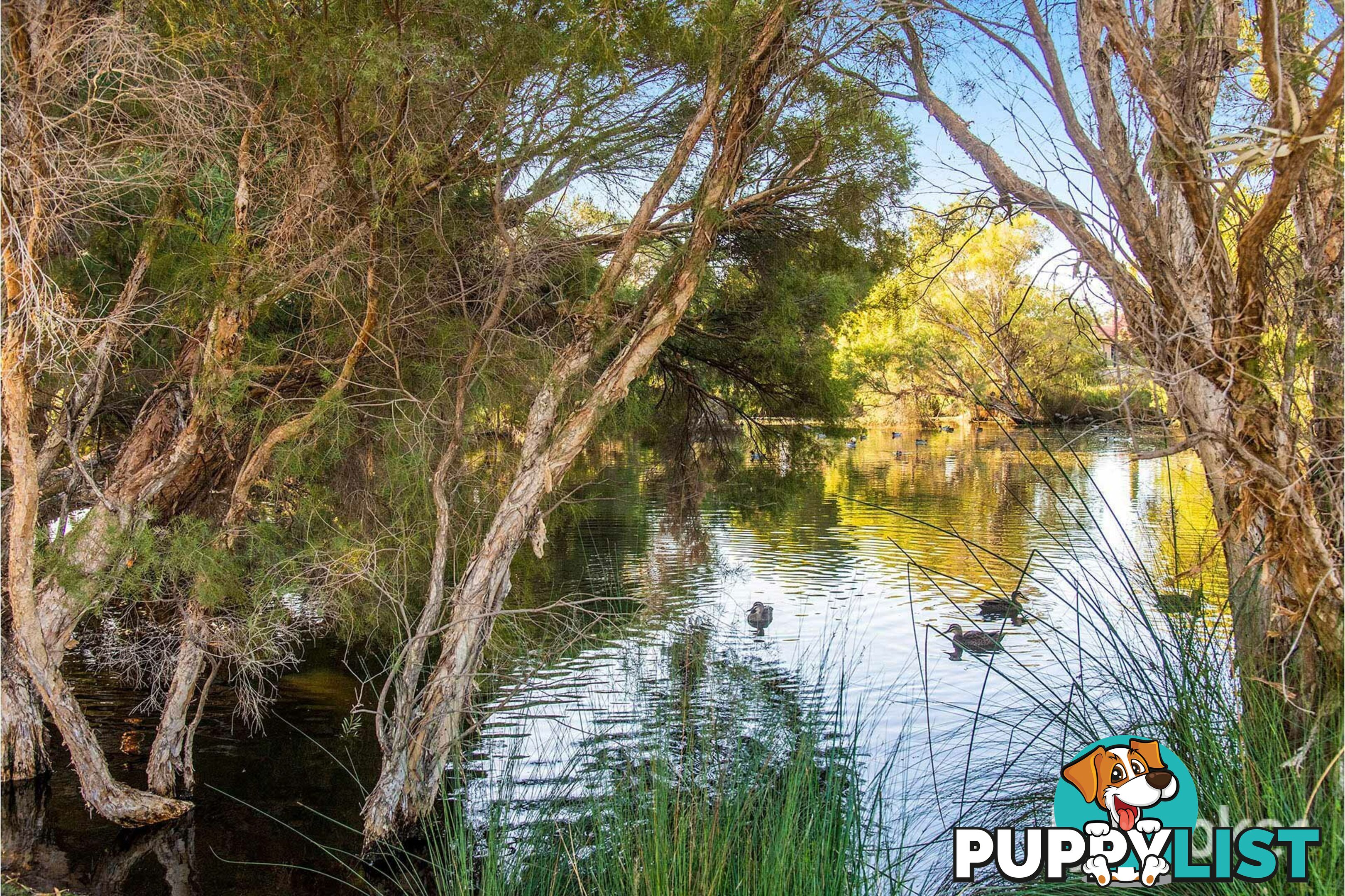 27 Eudanda Place CANNINGTON WA 6107