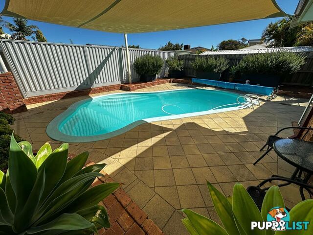 25 Discovery Drive THORNLIE WA 6108
