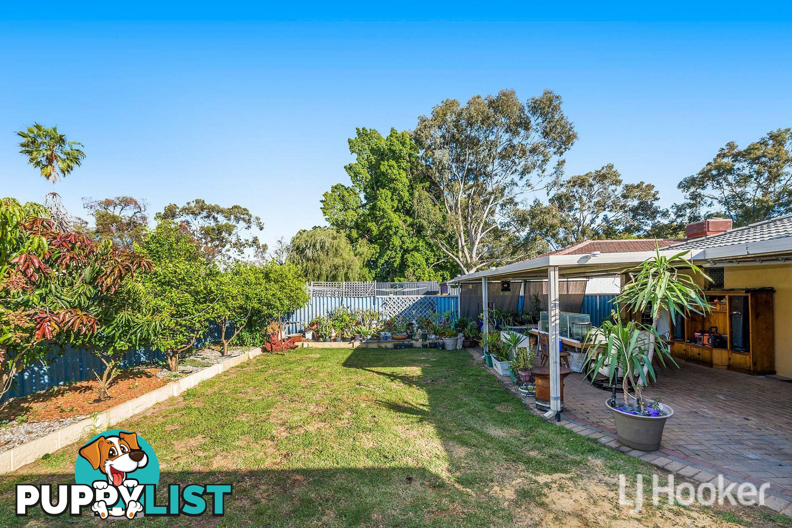 19 Toongabbie Way ARMADALE WA 6112