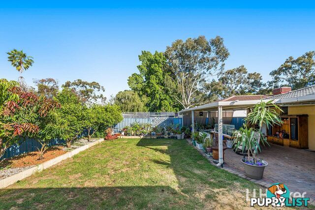 19 Toongabbie Way ARMADALE WA 6112