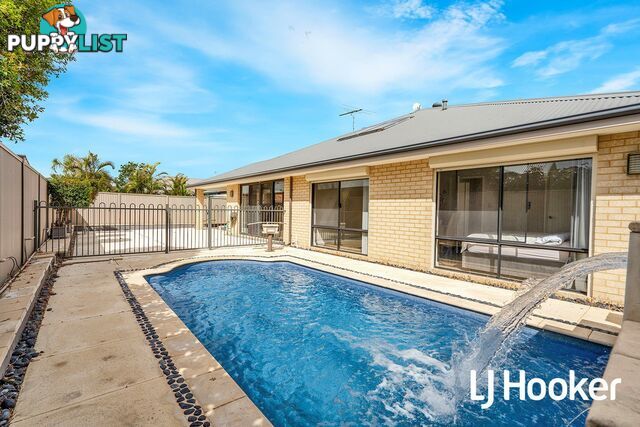 31 Sandmartin Drive SOUTHERN RIVER WA 6110