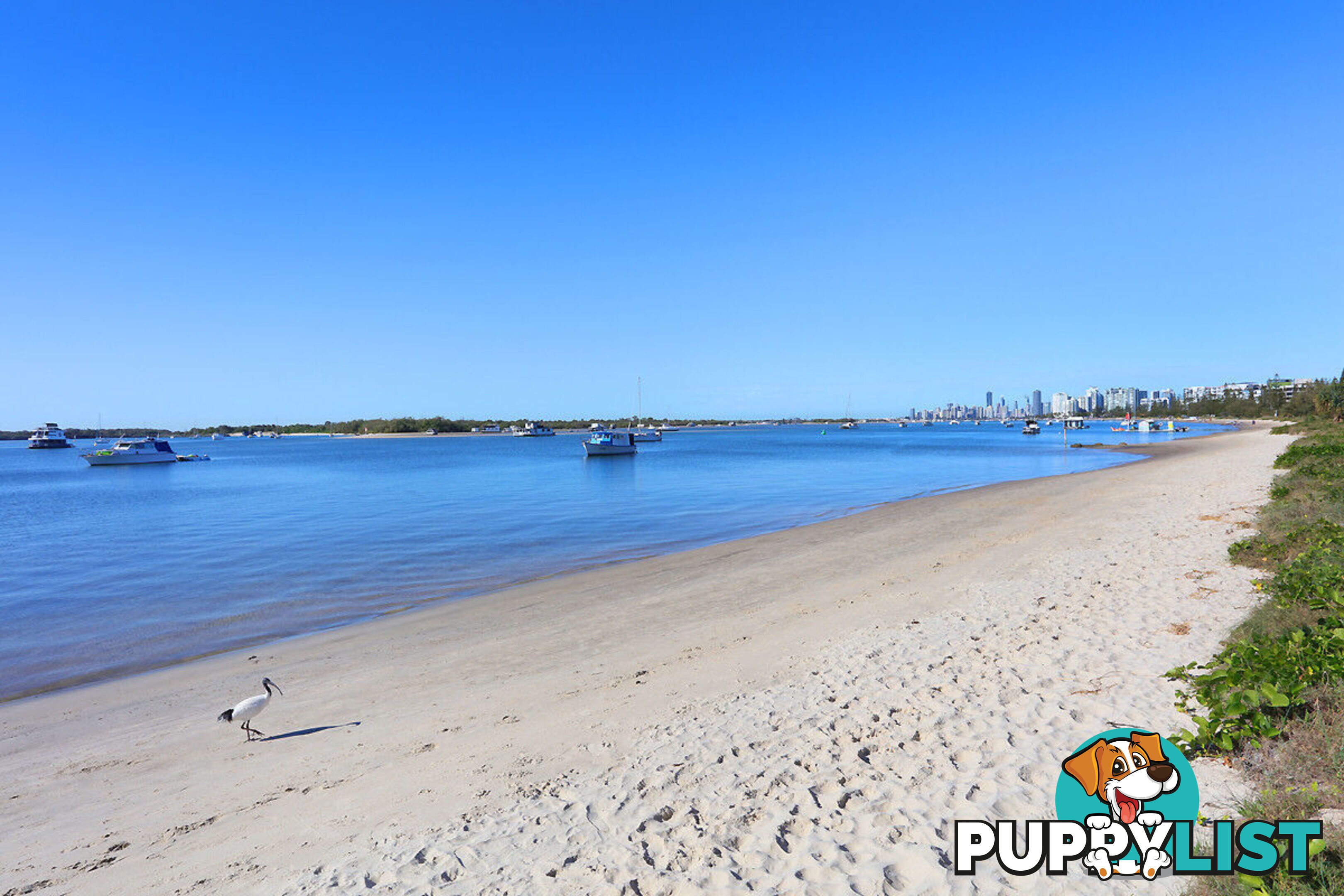 4/524 Marine Parade BIGGERA WATERS QLD 4216