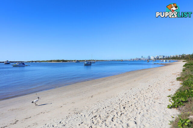 4/524 Marine Parade BIGGERA WATERS QLD 4216