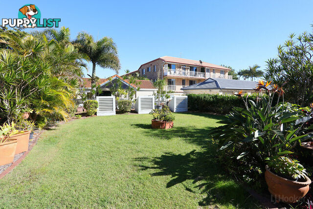 4/524 Marine Parade BIGGERA WATERS QLD 4216