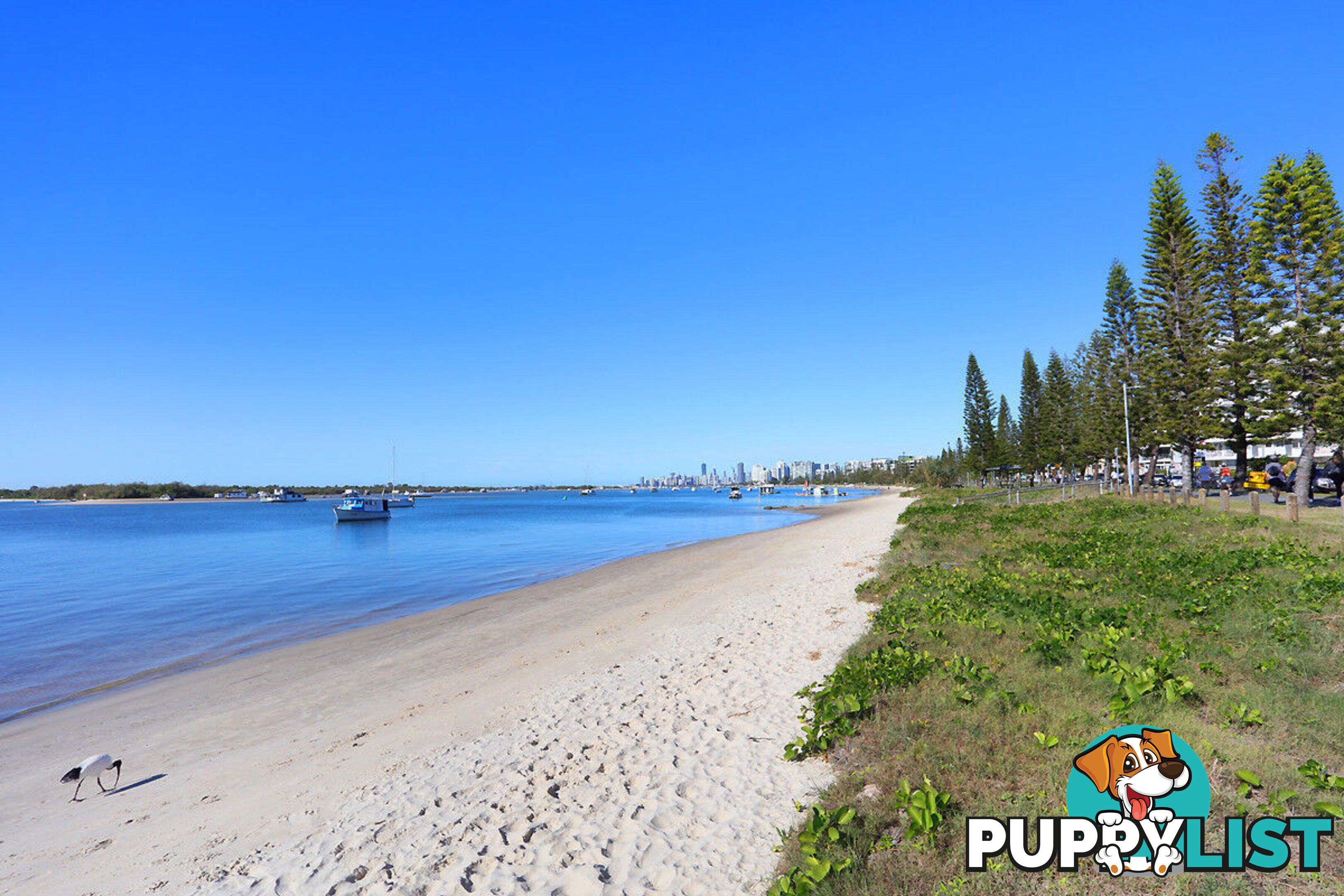 4/524 Marine Parade BIGGERA WATERS QLD 4216