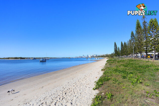 4/524 Marine Parade BIGGERA WATERS QLD 4216