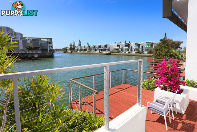 6101/2 Ephraim Island PARADISE POINT QLD 4216