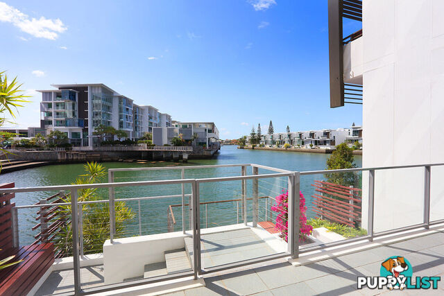 6101/2 Ephraim Island PARADISE POINT QLD 4216