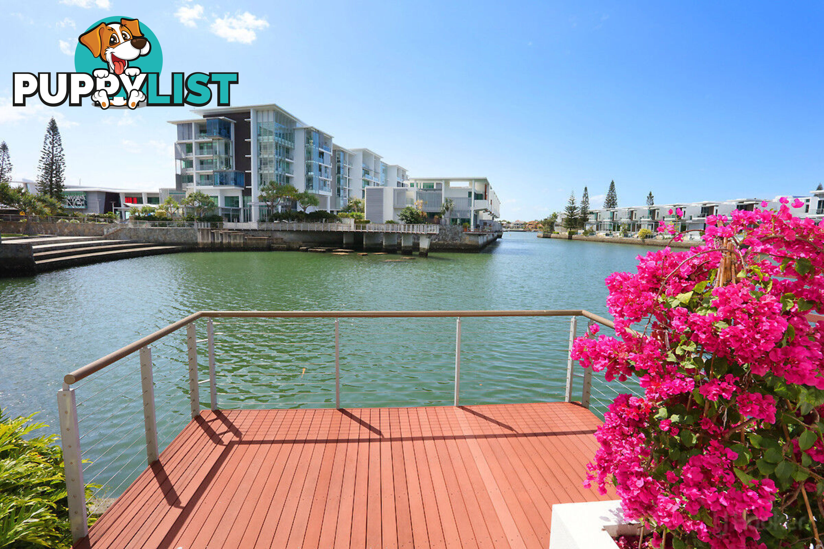 6101/2 Ephraim Island PARADISE POINT QLD 4216