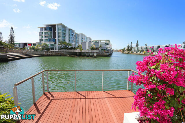 6101/2 Ephraim Island PARADISE POINT QLD 4216