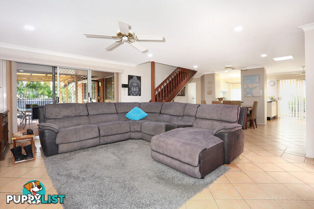 157 Paradise Parade HOLLYWELL QLD 4216